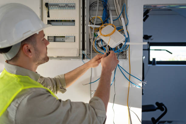 Best Generator Installation Services  in Williamstown, WV